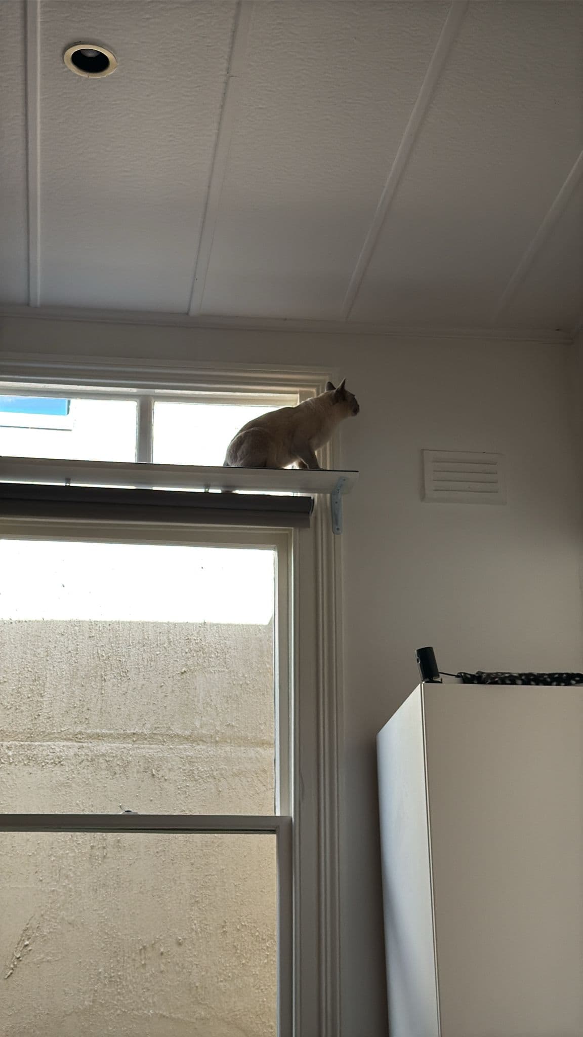 29 Evandale Road — cover photo